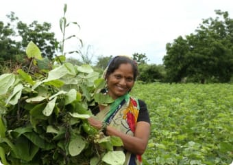 farmer photo