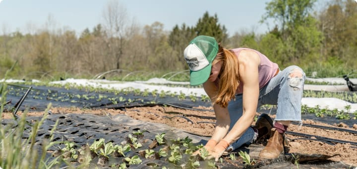 Organic Farming